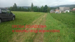droga1 int